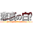 悲哀の白貓 (Poor MeCblackcat)