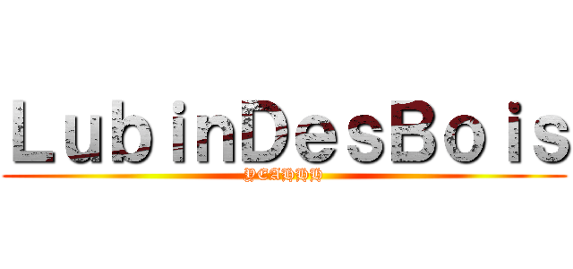 ＬｕｂｉｎＤｅｓＢｏｉｓ (YEAHHH)
