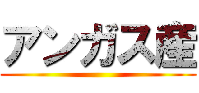 アンガス産 ()