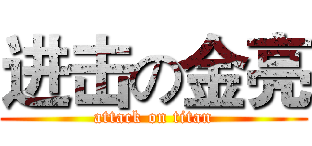进击の金亮 (attack on titan)