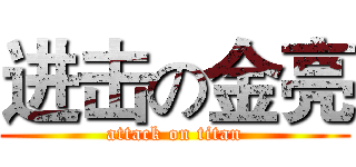 进击の金亮 (attack on titan)