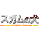 スガムの犬 (sugamu\'s  dog)