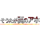 そうたが真のアホ (attack on titan)