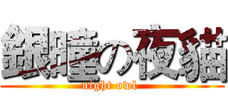 銀曈の夜貓 (night owl )