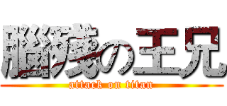 腦殘の王兄 (attack on titan)