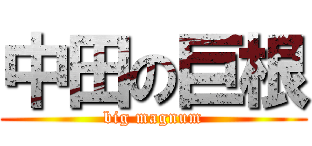 中田の巨根 (big magnum)