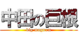 中田の巨根 (big magnum)