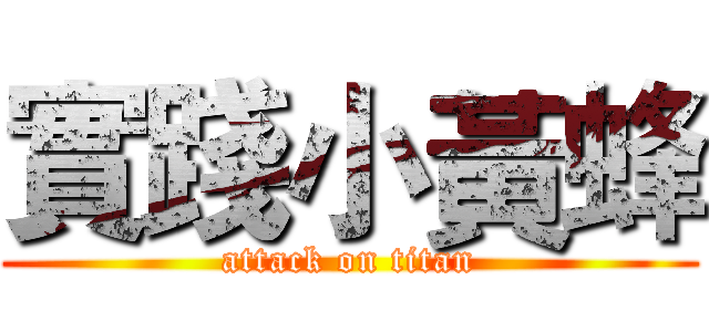 實踐小黃蜂 (attack on titan)