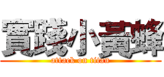 實踐小黃蜂 (attack on titan)