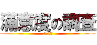 滿意度の調査 (2013)