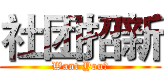 社团招新 (Want You！)