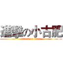 進擊の小古肥 (attack on titan)