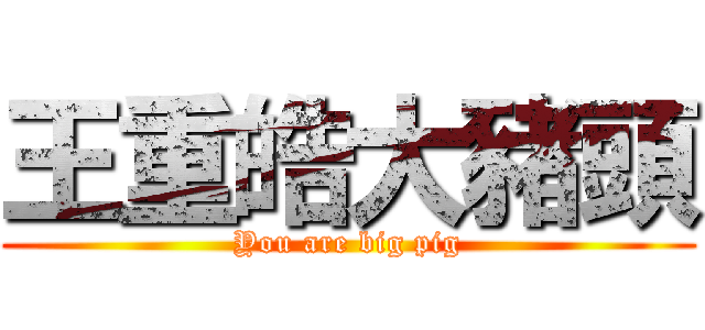 王重皓大豬頭 (You are big pig)