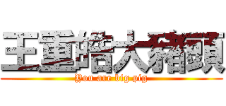 王重皓大豬頭 (You are big pig)