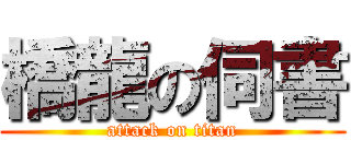 橋龍の伺書 (attack on titan)