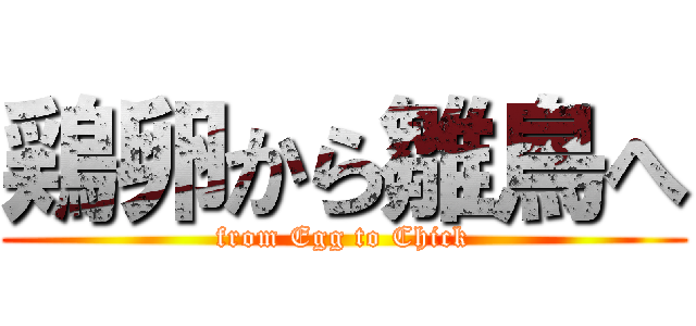鶏卵から雛鳥へ (from Egg to Chick)