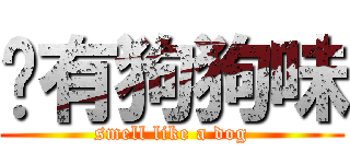 你有狗狗味 (smell like a dog)