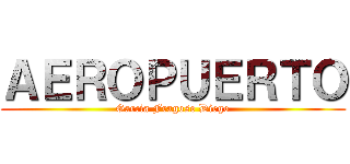 ＡＥＲＯＰＵＥＲＴＯ (Garcia Fragoso Diego)