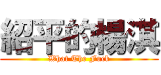 紹平的楊淇 (What The Fuck)