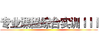 专业课程综合实训ＩＩＩ ()