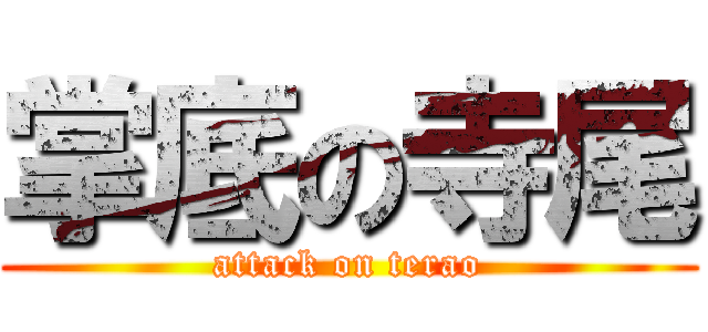 掌底の寺尾 (attack on terao)