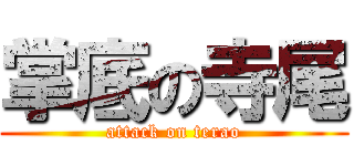 掌底の寺尾 (attack on terao)