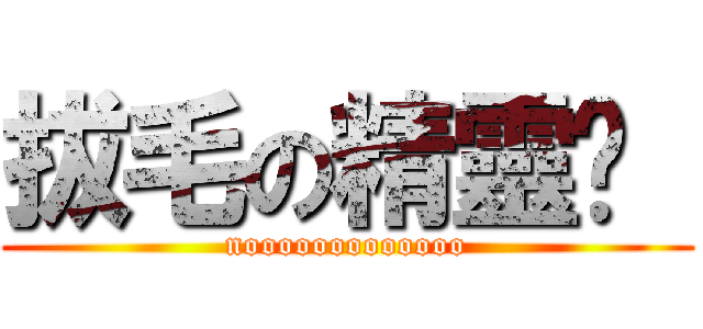 拔毛の精靈♡  (nooooooooooooo)