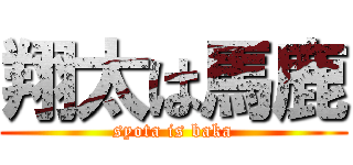 翔太は馬鹿 (syota is baka)