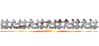 はたはたはたはたはたは (あほたや)