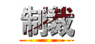 制裁 ()
