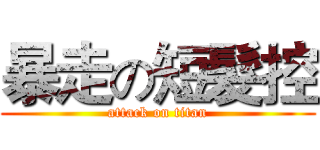 暴走の短髮控 (attack on titan)