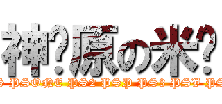 神还原の米兰 (PS PSONE PS2 PSP PS3 PSV PS4)