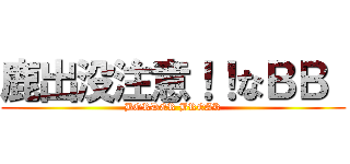 鹿出没注意！！なＢＢ  (BORDER BREAK)