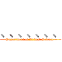 、、、、、、、 (Department of Animal Science )