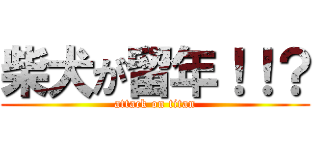柴犬が留年！！？ (attack on titan)