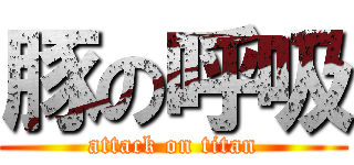 豚の呼吸 (attack on titan)