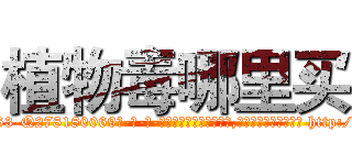 植物毒哪里买 (植物毒哪里买【电-186x2687x6963-Q278180069元-吉-药-业】我们做的是长期生意,靠的是老客户长期支持 http://sngk.net/Q1P5UN
)