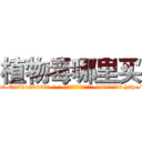 植物毒哪里买 (植物毒哪里买【电-186x2687x6963-Q278180069元-吉-药-业】我们做的是长期生意,靠的是老客户长期支持 http://sngk.net/Q1P5UN
)