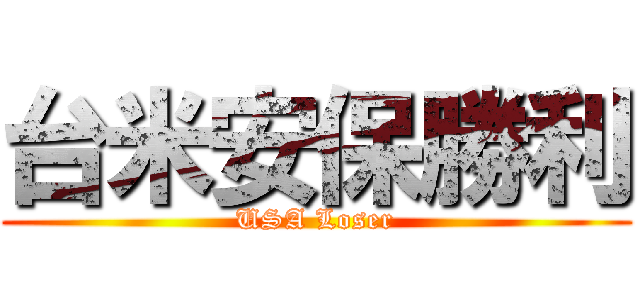 台米安保勝利 (USA Loser)