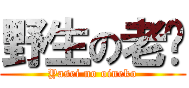 野生の老貓 (Yasei no oineko)