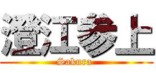 澄江参上 (Sakura )