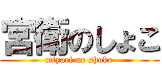 宮衛のしょこ (miyaei no shoko)