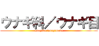 ウナギ科／ウナギ目 (unagika/unagimoku)