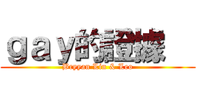 ｇａｙ的證據   (Bryyan Lin & Leo)