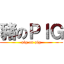 豬のＰＩＧ (pig on pig)
