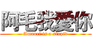 阿毛我愛你 (Amauri is a stupid)
