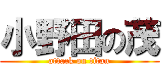 小野田の茂 (attack on titan)