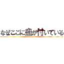なぜここに血が付いている (attack on titan)