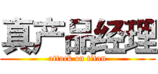 真产品经理 (attack on titan)