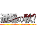 遜爆の秋貓 (attack on titan)